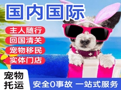 珠海航空快运国际宠物托运 【国